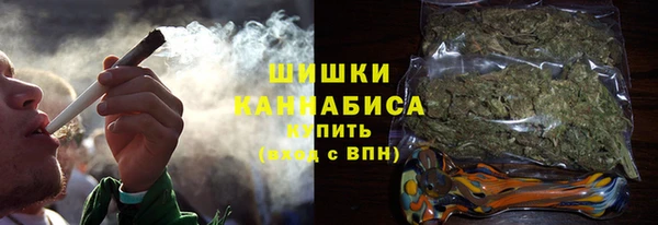 хмурый Арсеньев