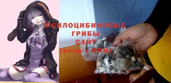 хмурый Арсеньев