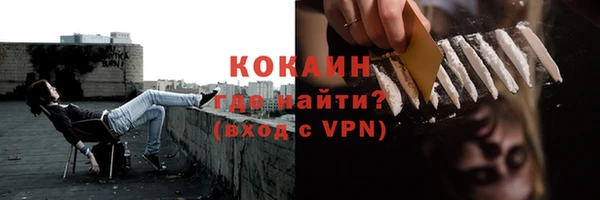 шишки Армянск