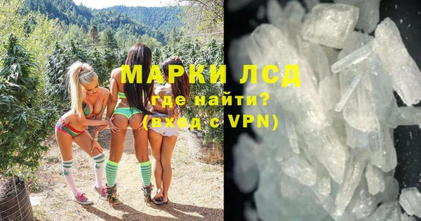 хмурый Арсеньев