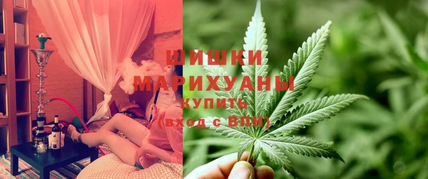 шишки Армянск