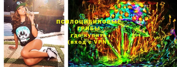 шишки Армянск