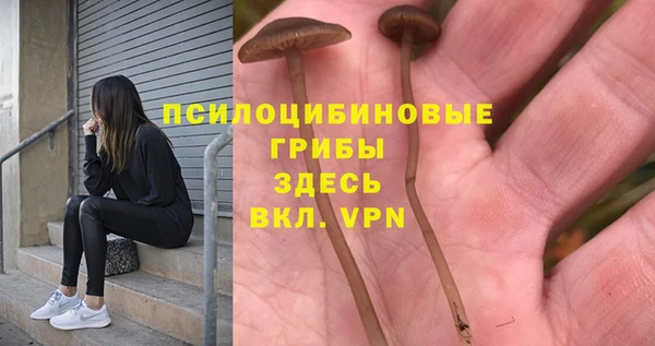 скорость Аркадак