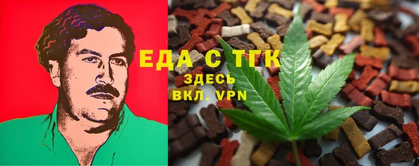 хмурый Арсеньев