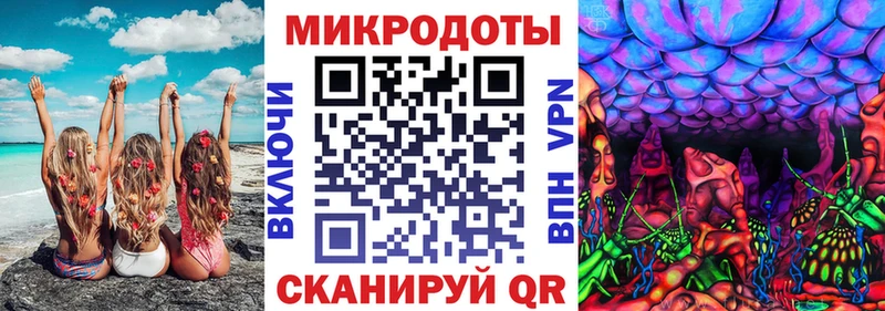 Галлюциногенные грибы Psilocybe  Купить где  Наволоки 