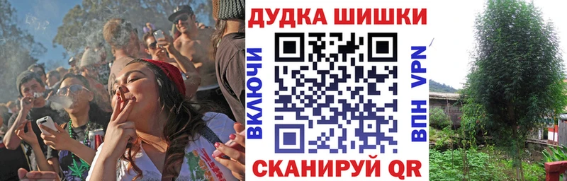 Бошки марихуана конопля  Купить  Наволоки 